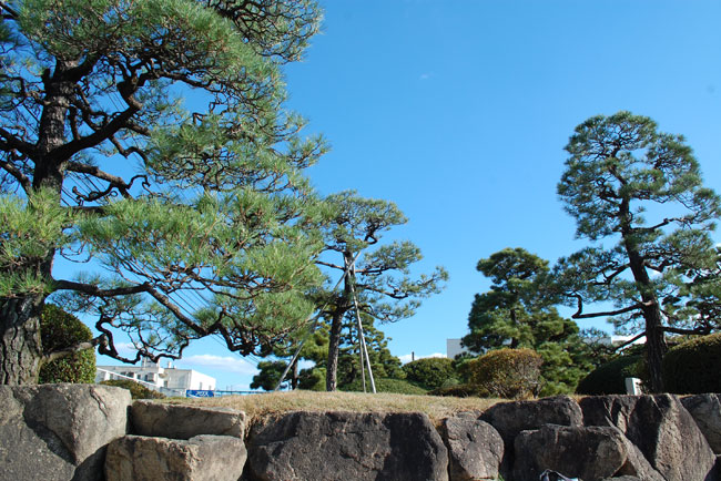 株式会社トクヤマ白雲荘庭園