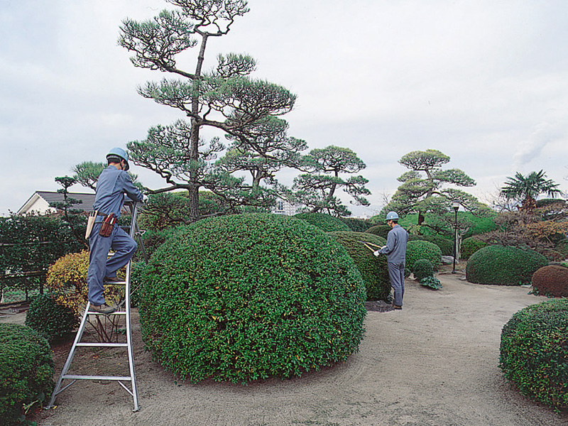 株式会社トクヤマ白雲荘庭園関連画像