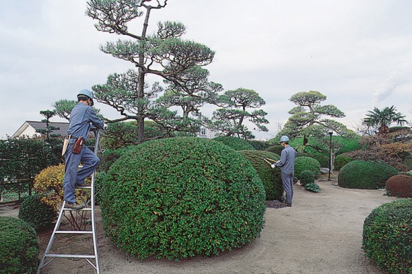 株式会社トクヤマ白雲荘庭園