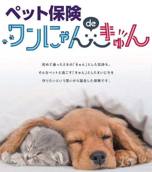「ペット保険が発売されました!」関連画像