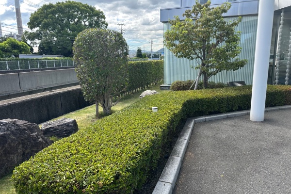 「周南あけぼの園」様との連携により本社敷地内の環境整備を実施しました