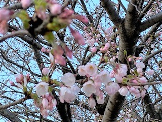 「「スタッフのつぶやき」を始めました。」関連画像