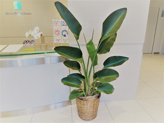 「当社の緑を紹介します②」関連画像