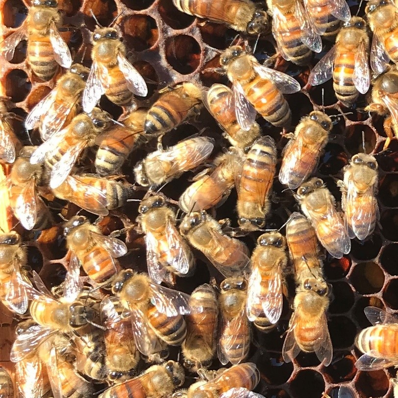 「土井社長に聞く20の質問!(つぶやき番外編)」関連画像