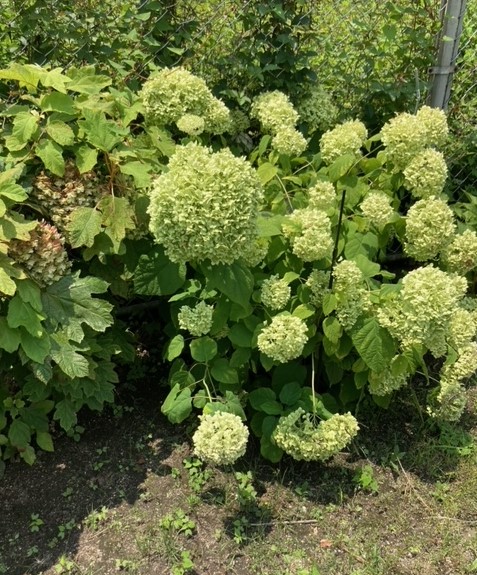 「周南の街頭から①」関連画像