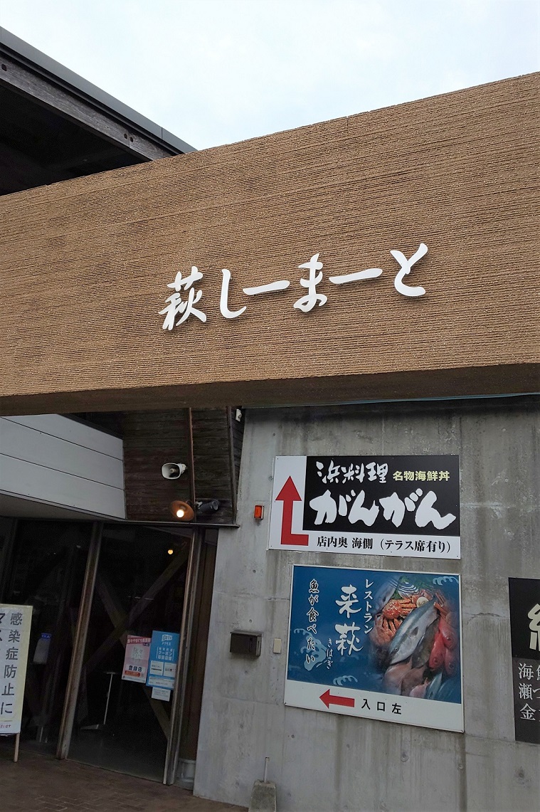 「20年振りの萩に行きました！」関連画像