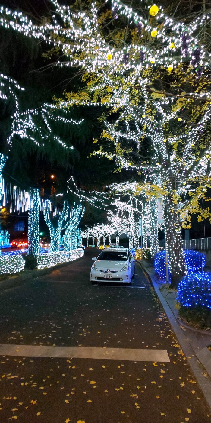 「周南冬のツリー祭り2021」関連画像