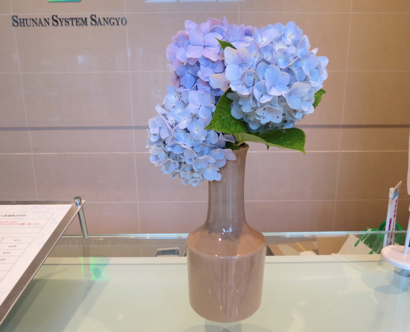 「紫陽花!」関連画像