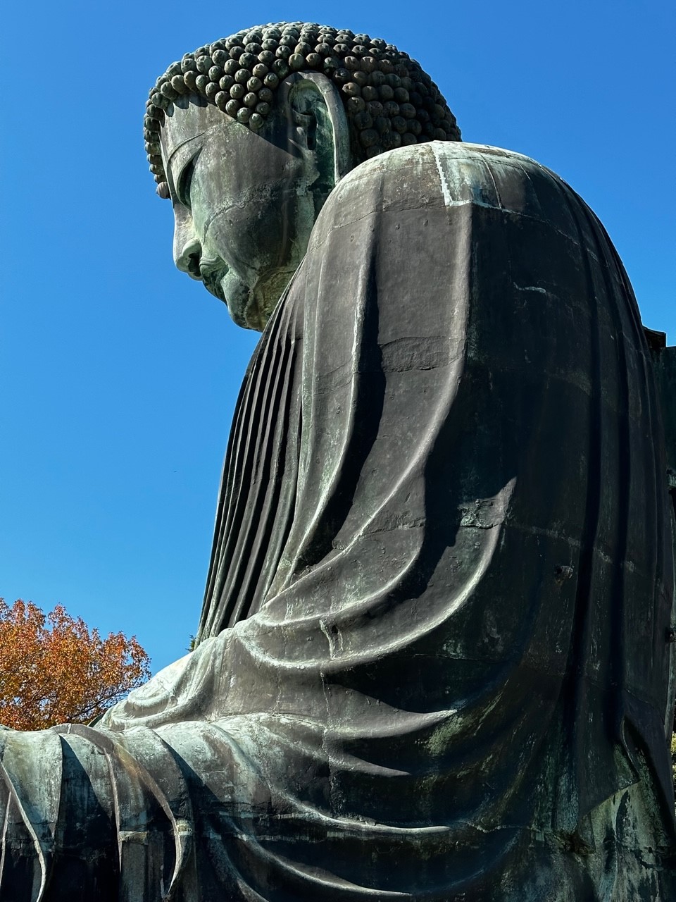 「鎌倉大仏、鶴岡八幡宮に行ってみた!」関連画像