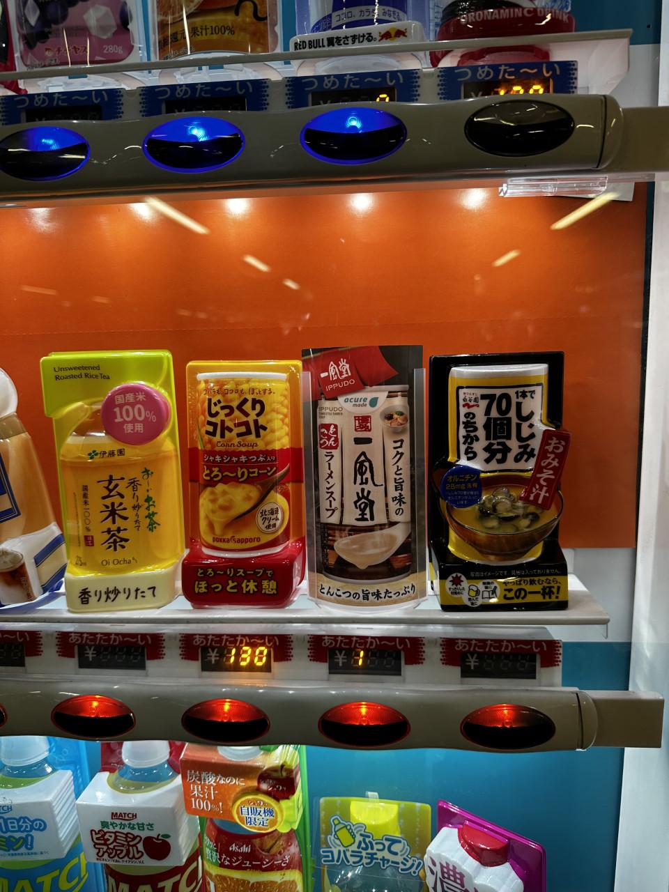 「鎌倉大仏、鶴岡八幡宮に行ってみた!」関連画像