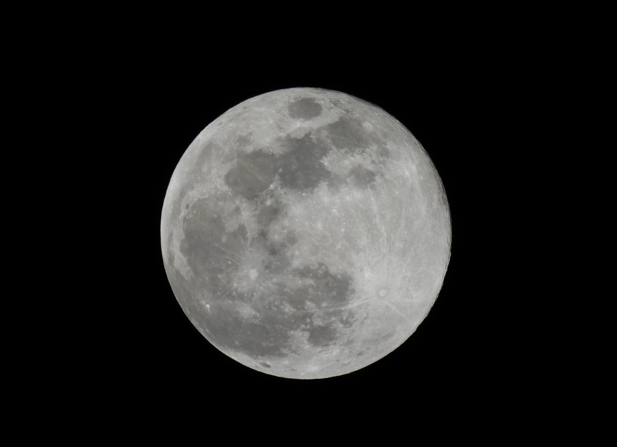 「コールドムーン!」関連画像