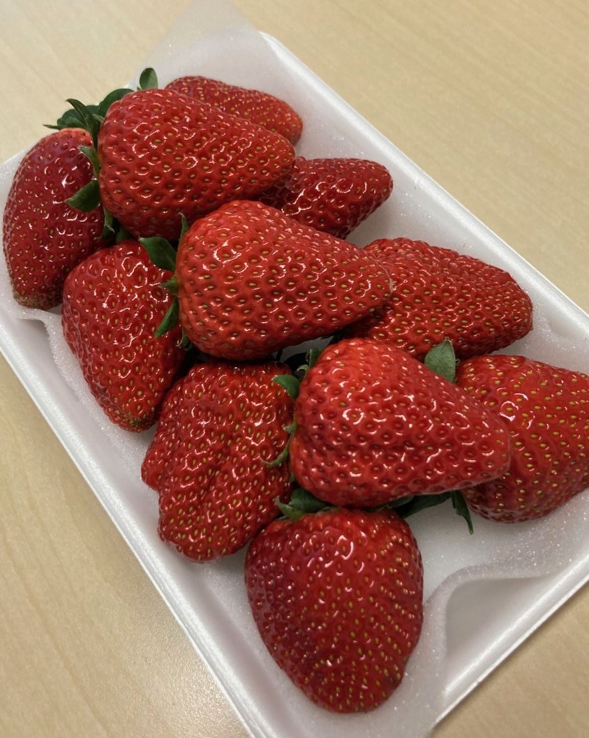 「今年も88マーチさんがやってきた！」関連画像