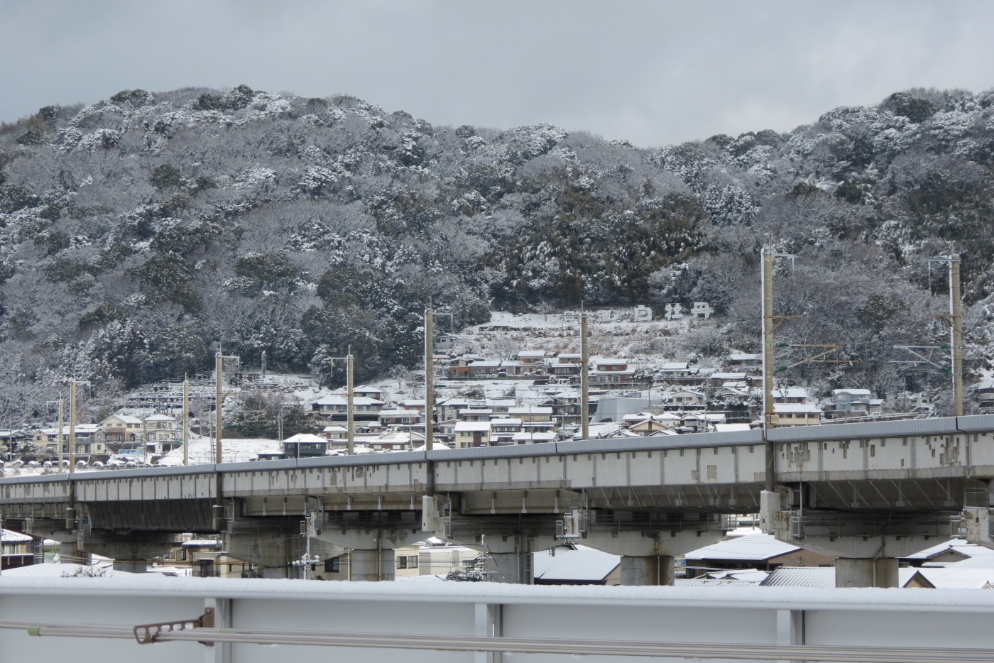 「10年に一度の．．．」関連画像
