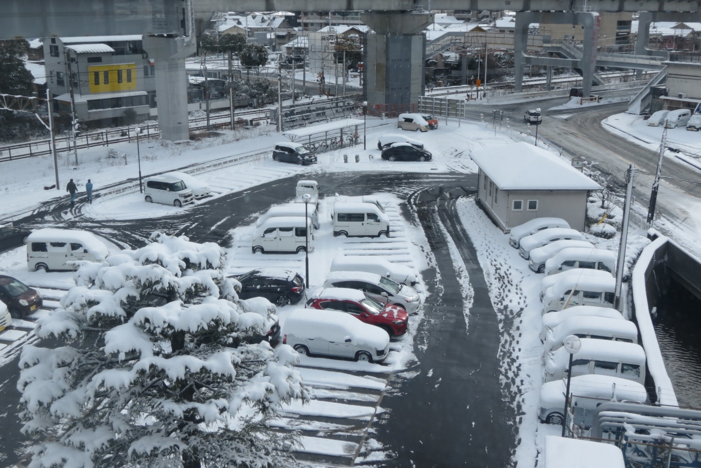 「10年に一度の．．．」関連画像