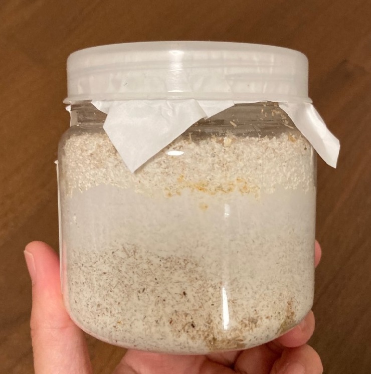 「黒いダイヤモンド！？」関連画像