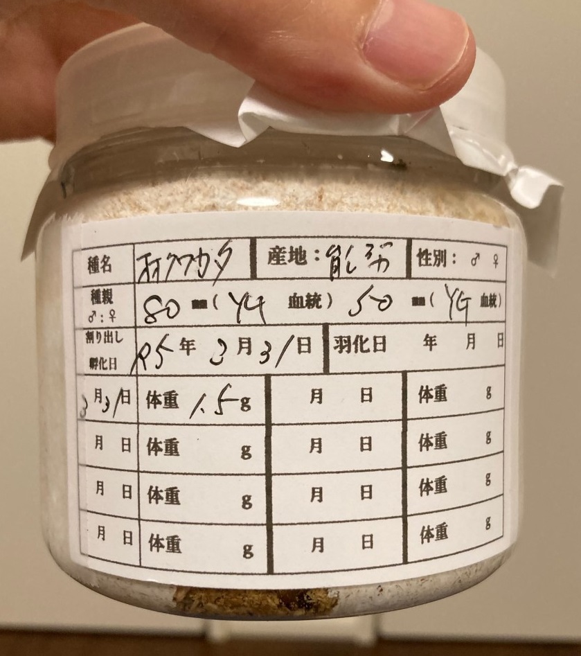 「黒いダイヤモンド！？」関連画像