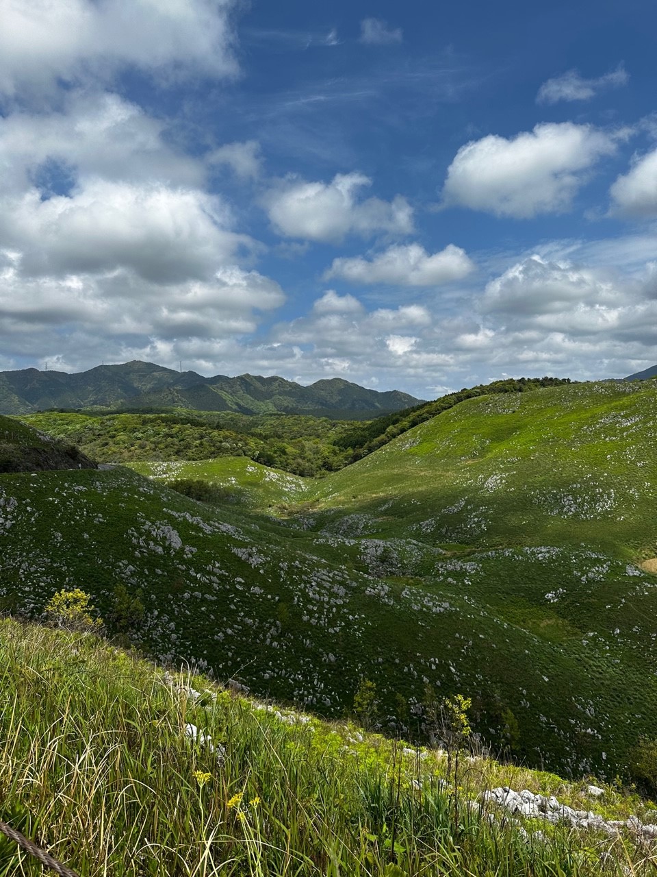 「黄金週間の思い出①」関連画像