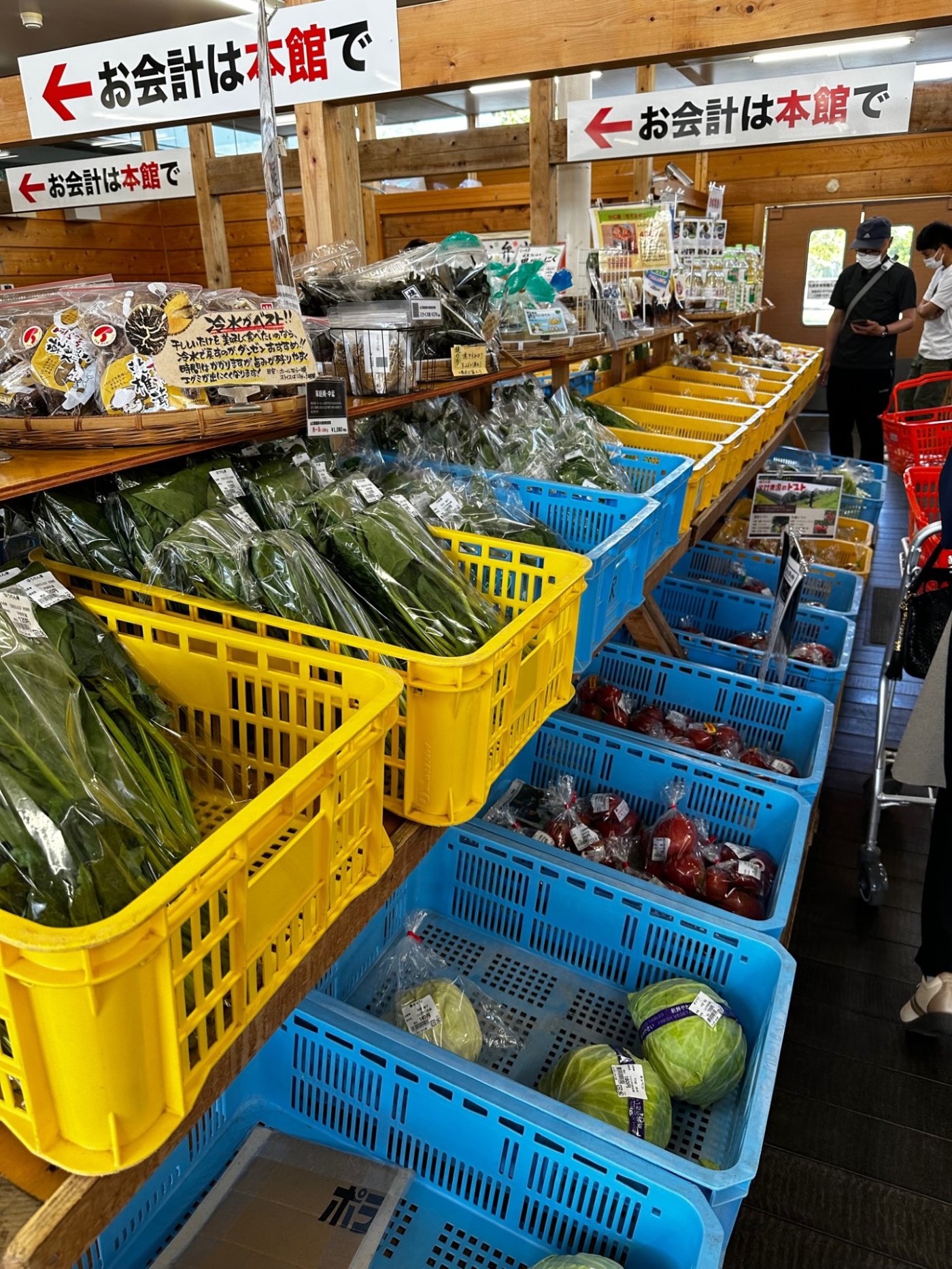 「【山口探訪記】山口市中心商店街から仁保の郷へ」関連画像