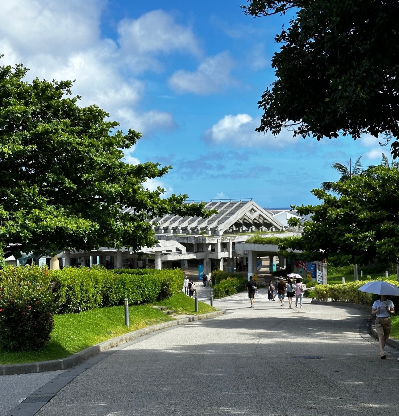「【沖縄探訪記①】いざ美ら海水族館へ!」関連画像