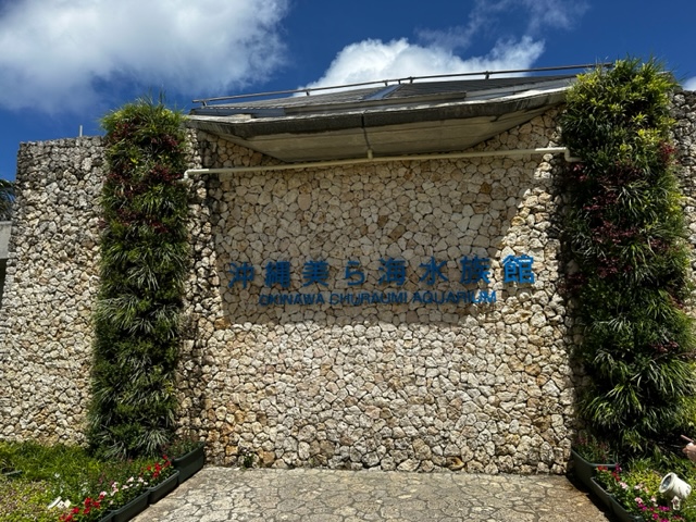 「【沖縄探訪記①】いざ美ら海水族館へ!」関連画像