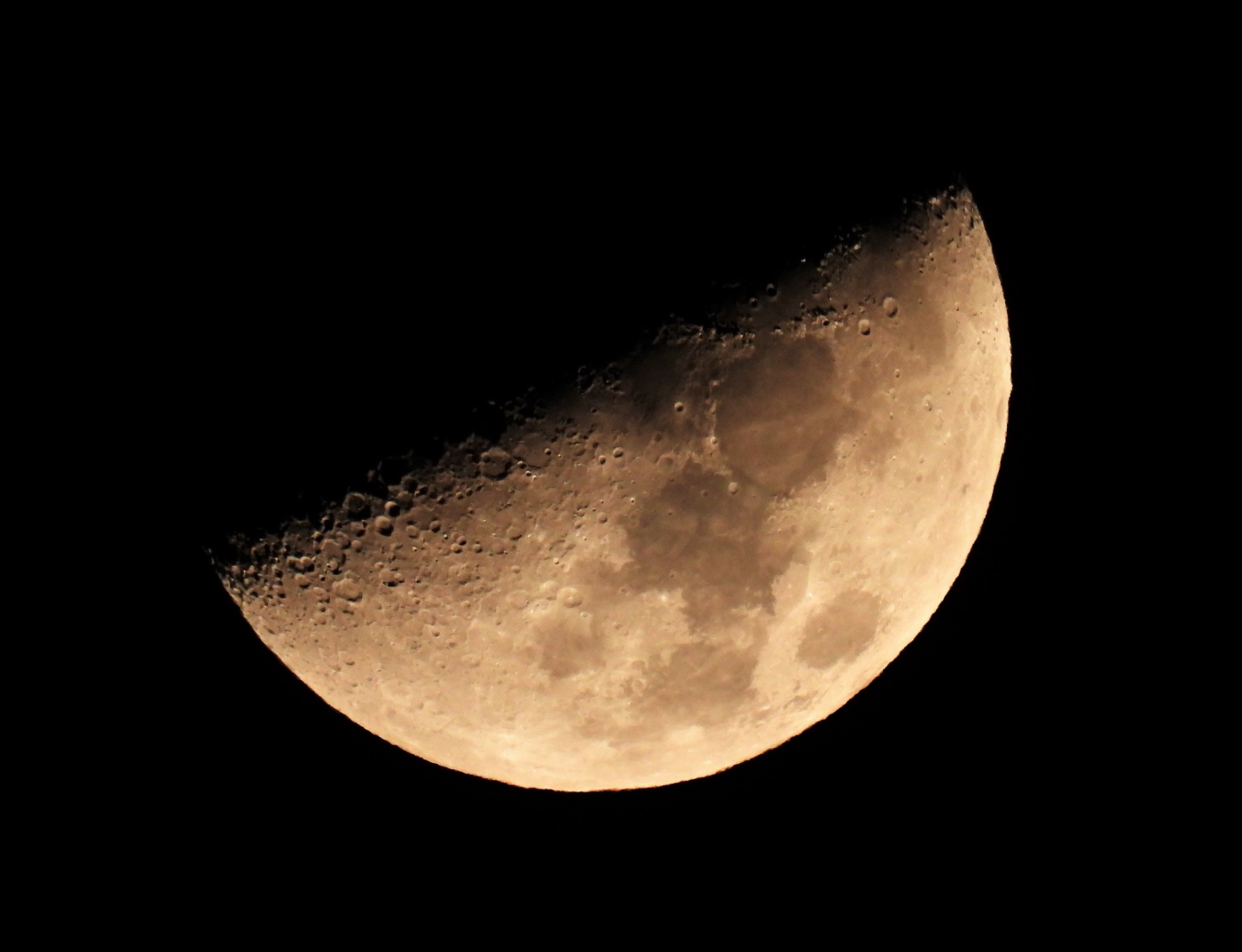 「月の椀」関連画像