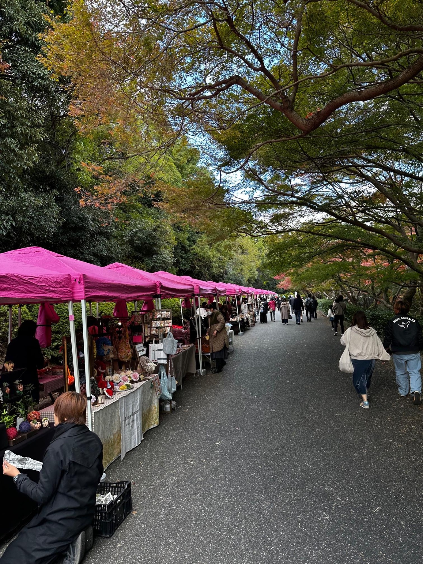 「毛利氏庭園に行ってみた!」関連画像