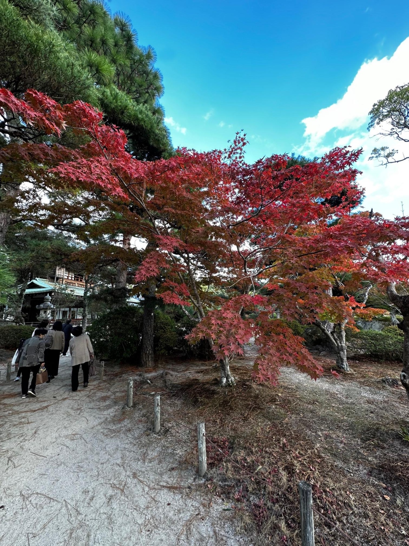 「毛利氏庭園に行ってみた!」関連画像