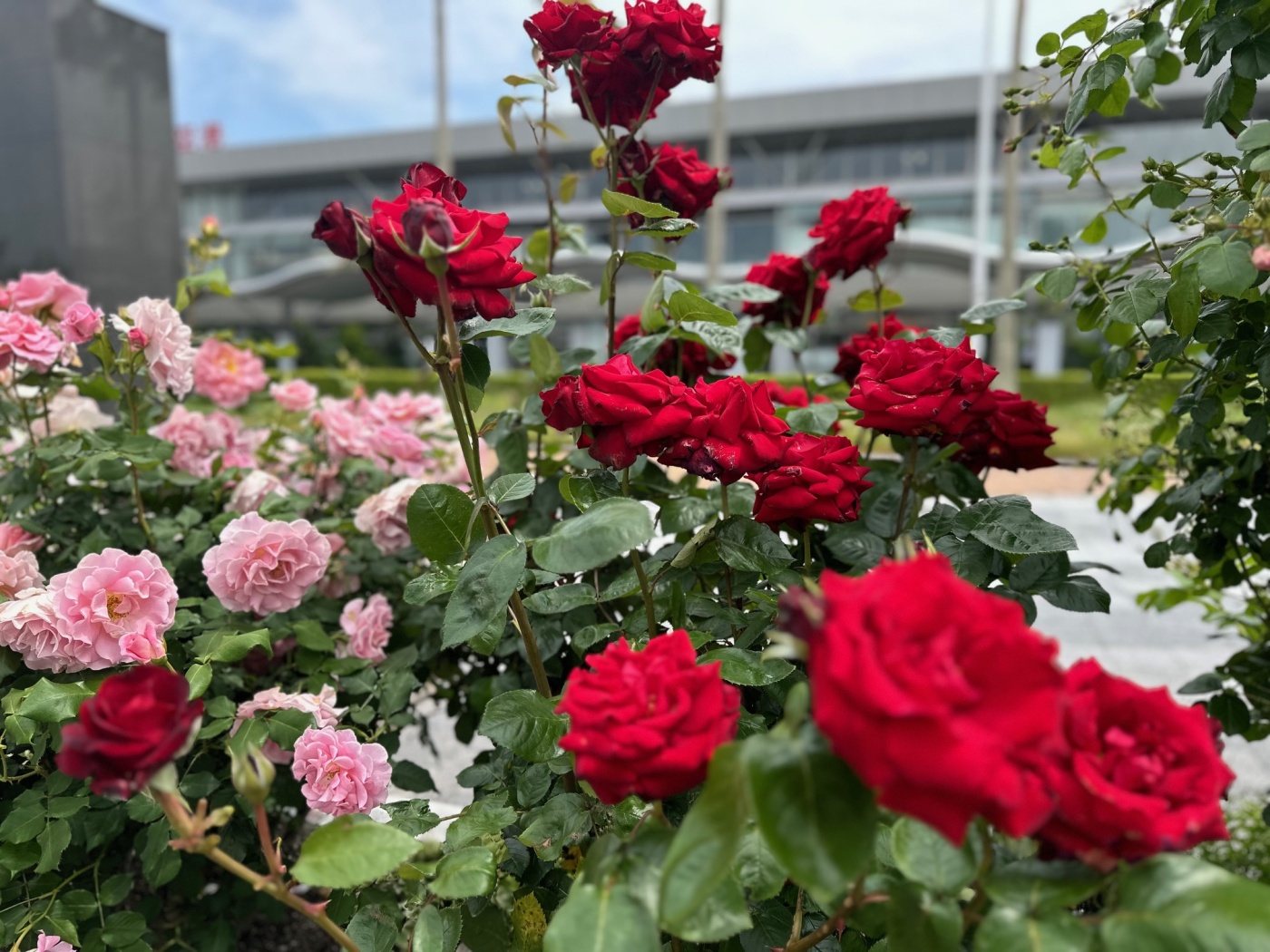 「宇部空港に行ってみた！」関連画像