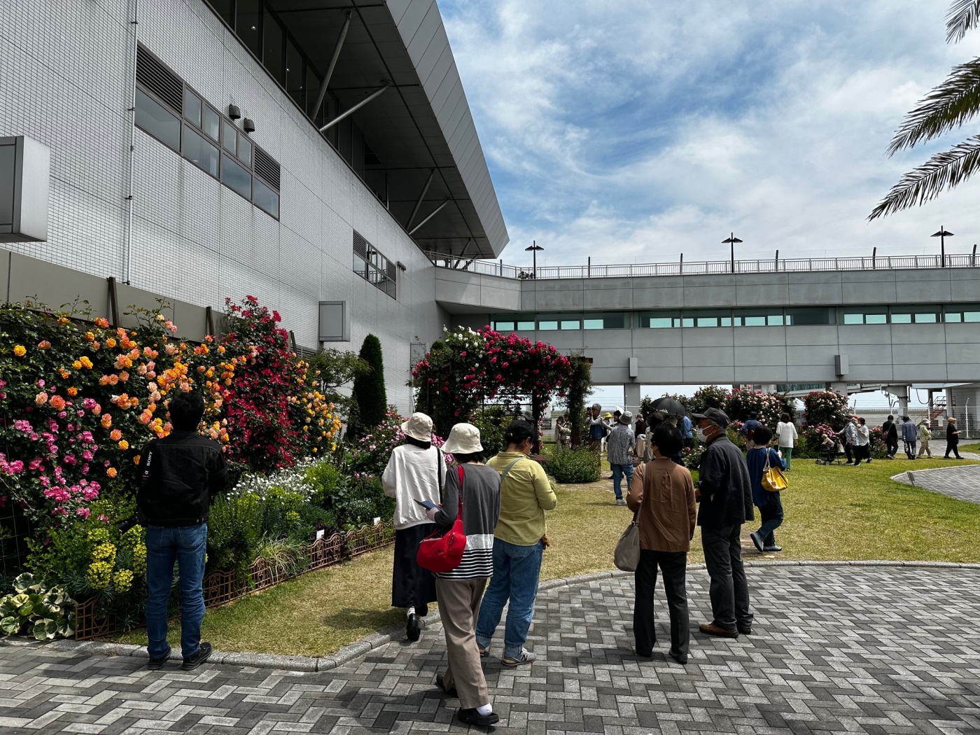「宇部空港に行ってみた！」関連画像